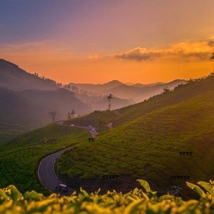 Travel-agency in-Kerala-37