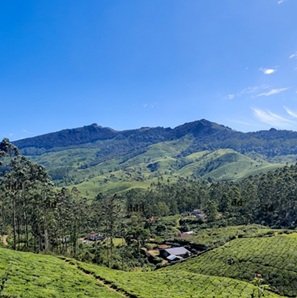 Travel-agency in-Kerala-40