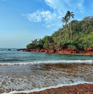 Travel-agency in-Kerala-51