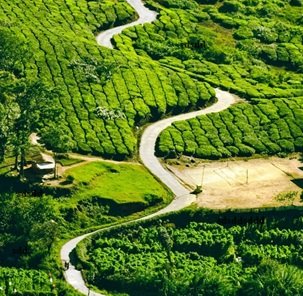 Travel-agency in-Kerala-55