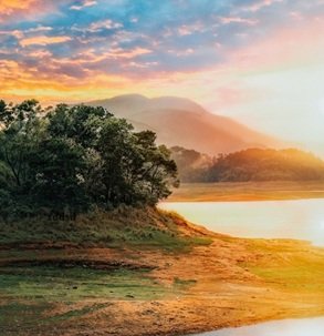 yellow-clouds-river-tree