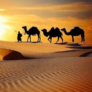 Travel-agency-in-Rajasthan-13