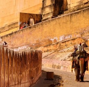 Travel-agency-in-Rajasthan-16