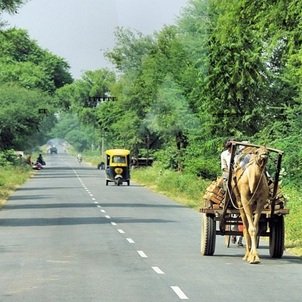 Travel-agency-in-Rajasthan-42