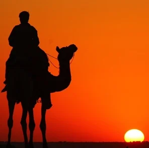 Best-travel-agency-in-India-8201